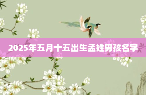 2025年五月十五出生孟姓男孩名字