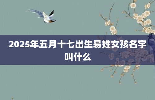 2025年五月十七出生易姓女孩名字叫什么
