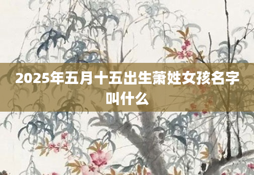 2025年五月十五出生萧姓女孩名字叫什么