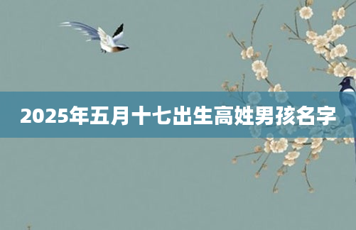 2025年五月十七出生高姓男孩名字