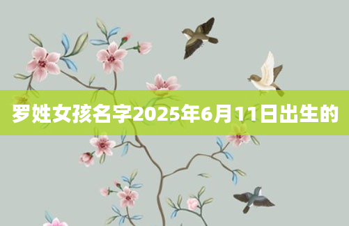 罗姓女孩名字2025年6月11日出生的