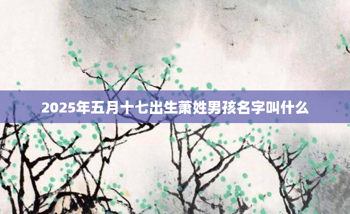 2025年五月十七出生萧姓男孩名字叫什么