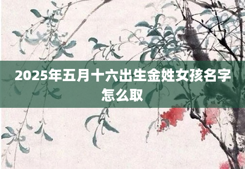 2025年五月十六出生金姓女孩名字怎么取