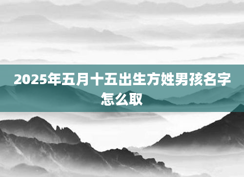 2025年五月十五出生方姓男孩名字怎么取