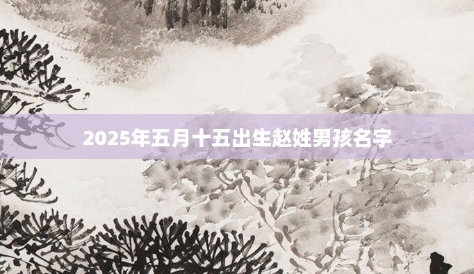 2025年五月十五出生赵姓男孩名字
