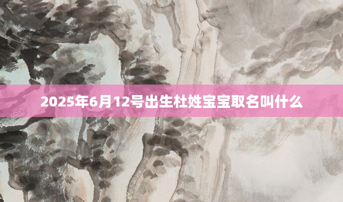 2025年6月12号出生杜姓宝宝取名叫什么