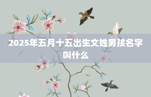 2025年五月十五出生文姓男孩名字叫什么