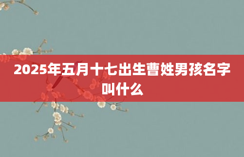 2025年五月十七出生曹姓男孩名字叫什么