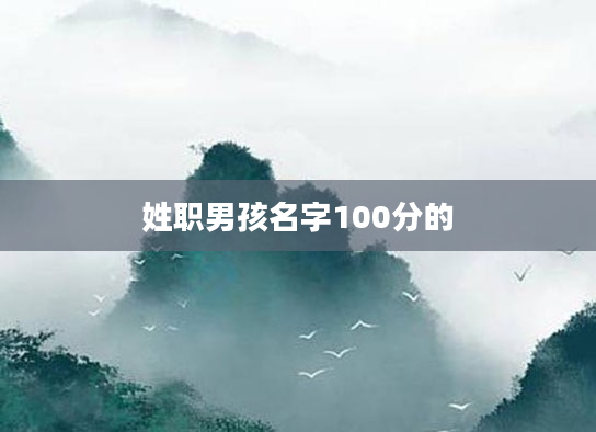 姓职男孩名字100分的