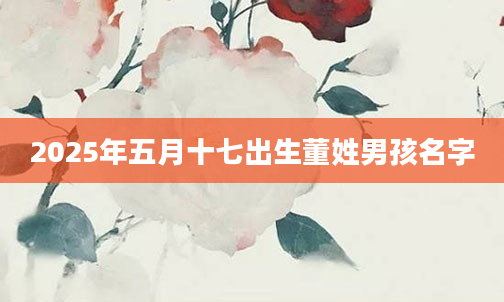 2025年五月十七出生董姓男孩名字