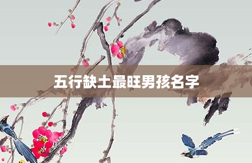 五行缺土最旺男孩名字