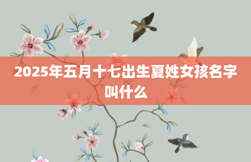 2025年五月十七出生夏姓女孩名字叫什么