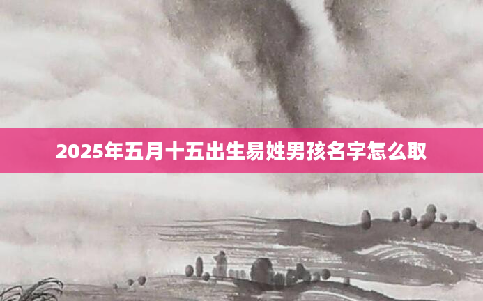 2025年五月十五出生易姓男孩名字怎么取