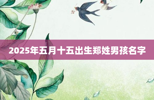 2025年五月十五出生郑姓男孩名字