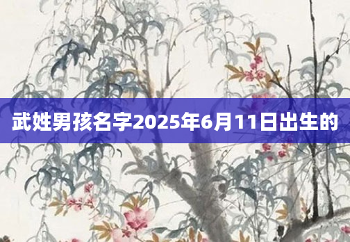 武姓男孩名字2025年6月11日出生的