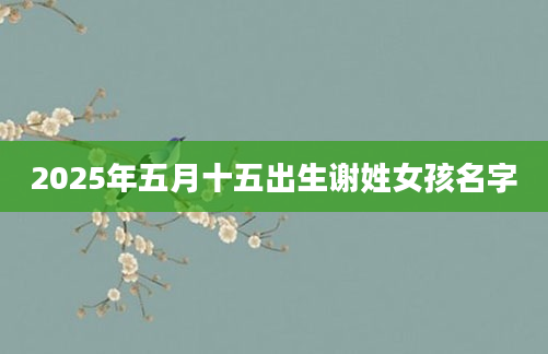 2025年五月十五出生谢姓女孩名字
