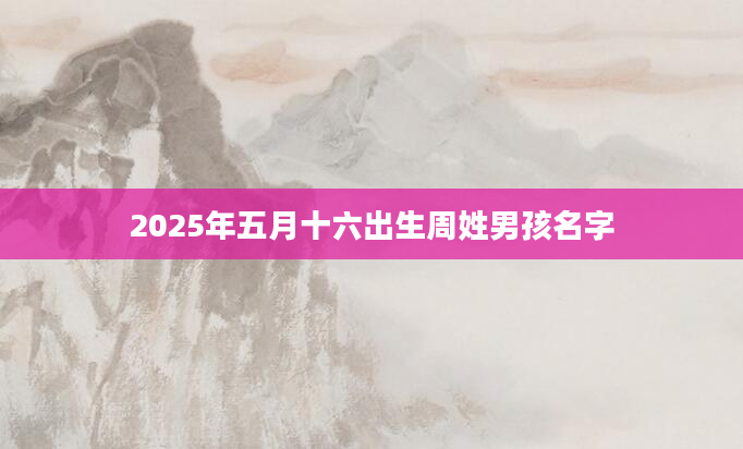 2025年五月十六出生周姓男孩名字