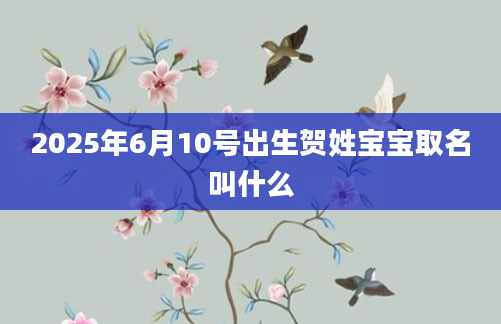 2025年6月10号出生贺姓宝宝取名叫什么