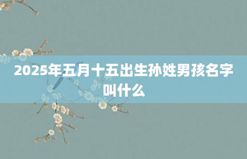 2025年五月十五出生孙姓男孩名字叫什么
