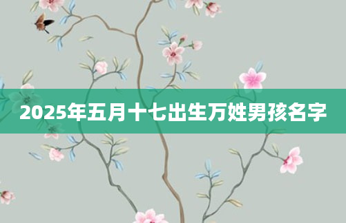 2025年五月十七出生万姓男孩名字
