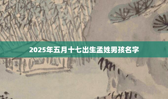 2025年五月十七出生孟姓男孩名字