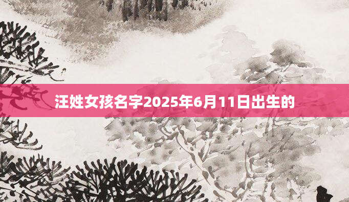 汪姓女孩名字2025年6月11日出生的