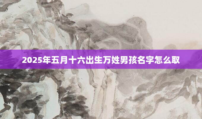 2025年五月十六出生万姓男孩名字怎么取