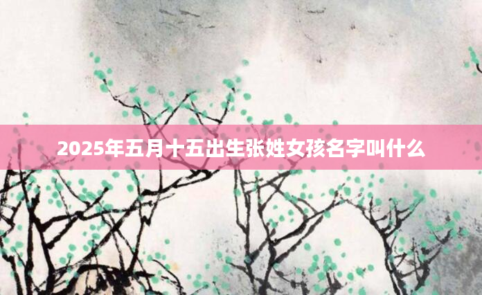 2025年五月十五出生张姓女孩名字叫什么