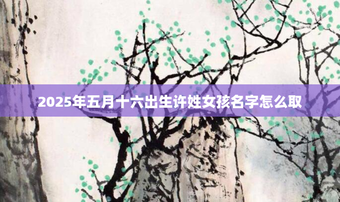 2025年五月十六出生许姓女孩名字怎么取