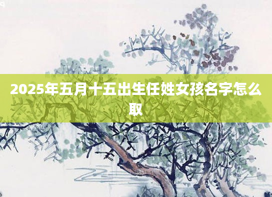 2025年五月十五出生任姓女孩名字怎么取