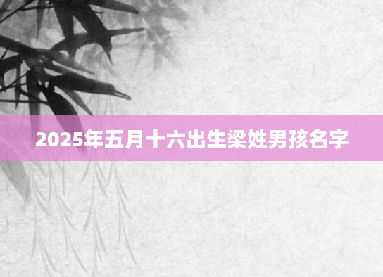 2025年五月十六出生梁姓男孩名字