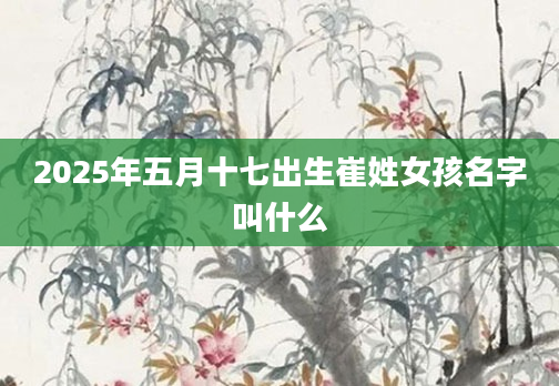 2025年五月十七出生崔姓女孩名字叫什么