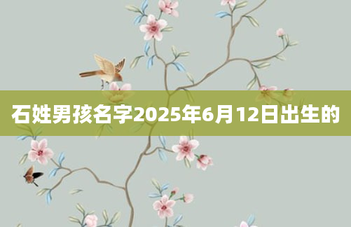 石姓男孩名字2025年6月12日出生的