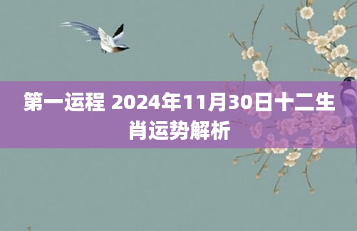 第一运程 2024年11月30日十二生肖运势解析