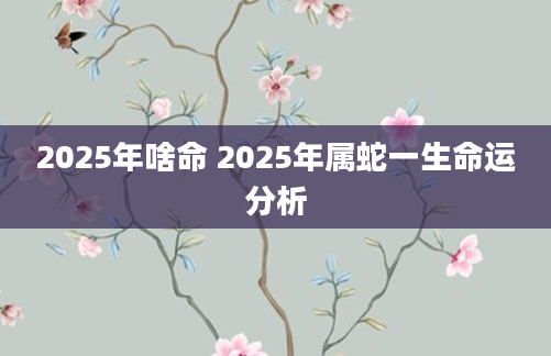 2025年啥命 2025年属蛇一生命运分析