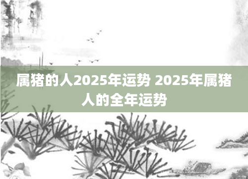 属猪的人2025年运势 2025年属猪人的全年运势