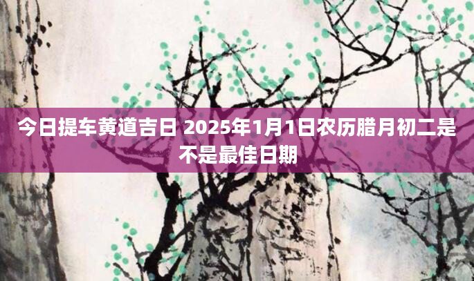 今日提车黄道吉日 2025年1月1日农历腊月初二是不是最佳日期