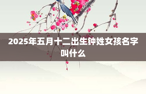 2025年五月十二出生钟姓女孩名字叫什么