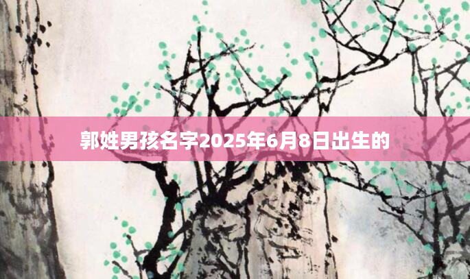 郭姓男孩名字2025年6月8日出生的