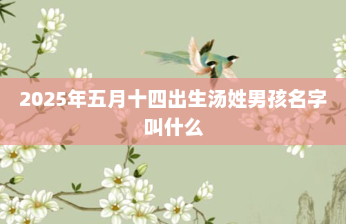 2025年五月十四出生汤姓男孩名字叫什么
