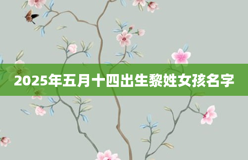 2025年五月十四出生黎姓女孩名字