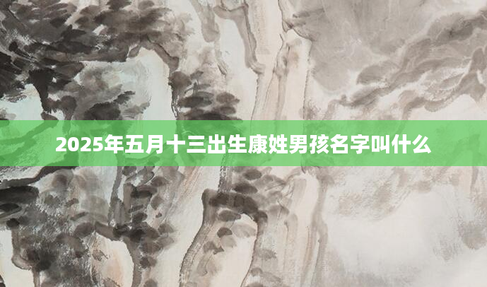 2025年五月十三出生康姓男孩名字叫什么