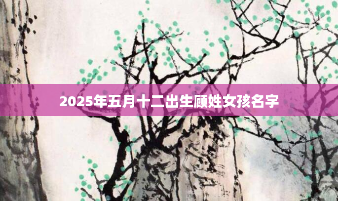 2025年五月十二出生顾姓女孩名字