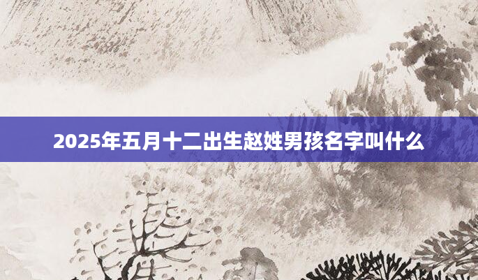 2025年五月十二出生赵姓男孩名字叫什么