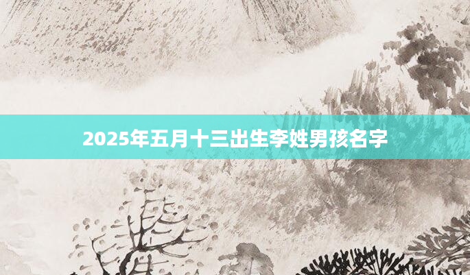 2025年五月十三出生李姓男孩名字