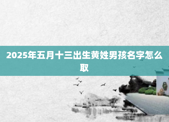 2025年五月十三出生黄姓男孩名字怎么取