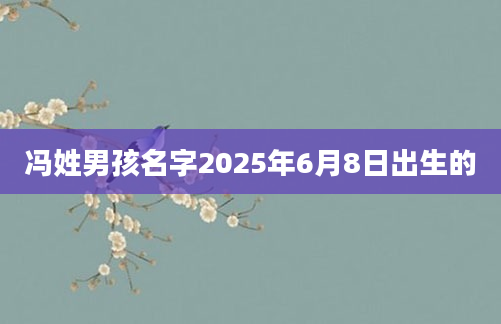 冯姓男孩名字2025年6月8日出生的