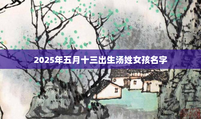2025年五月十三出生汤姓女孩名字