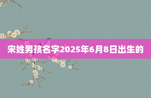 宋姓男孩名字2025年6月8日出生的