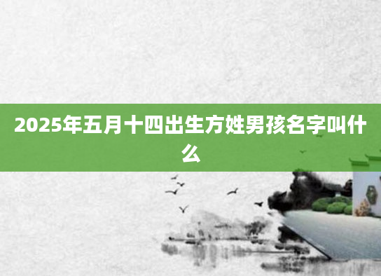 2025年五月十四出生方姓男孩名字叫什么
